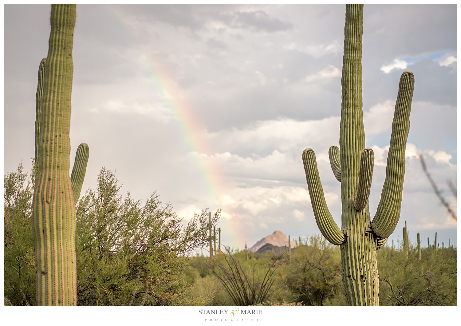 Arizona_33.jpg
